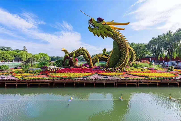 仿真綠雕造型價格